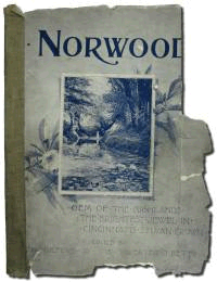 Deteriorated front cover of the book 'Norwood, Her Homes and Her People'