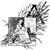 J. A. Knapp's illustrated 'A'