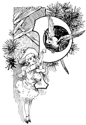 J. A. Knapp's illustrated 'P'
